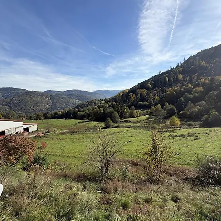 Domaine Des Sources - Spa, Sauna, Games - 12 People * Saulxures-sur-Moselotte