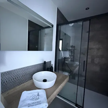 Domaine Des Sources - Spa, Sauna, Games - 12 People Сasa de vacaciones Saulxures-sur-Moselotte