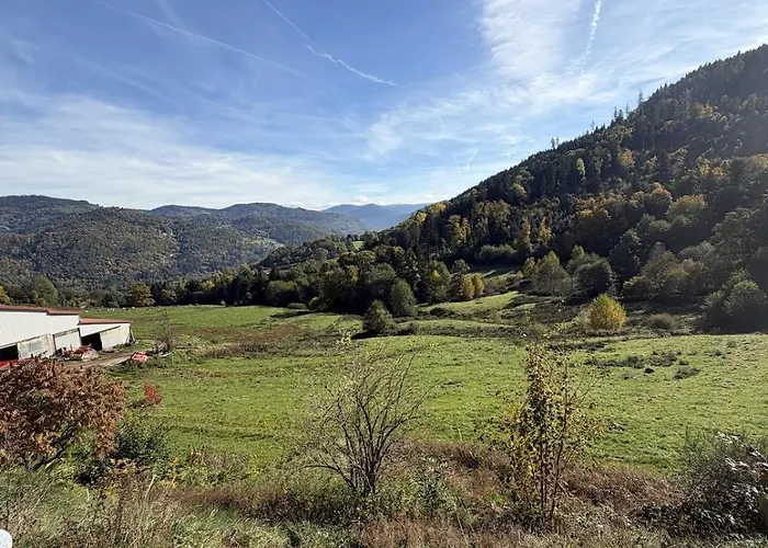 Domaine Des Sources - Spa, Sauna, Games - 12 People * Saulxures-sur-Moselotte