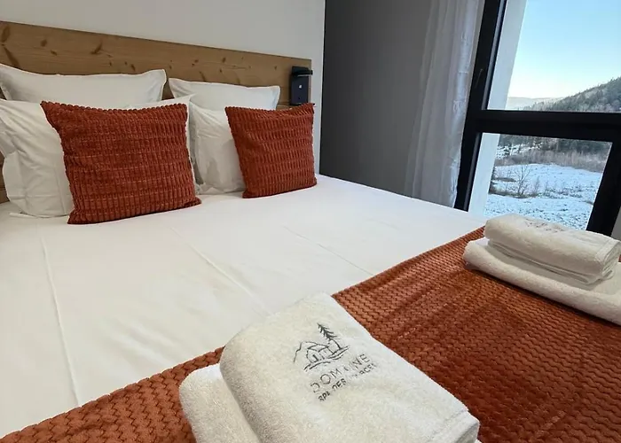 Domaine Des Sources - Spa, Sauna, Games - 12 People